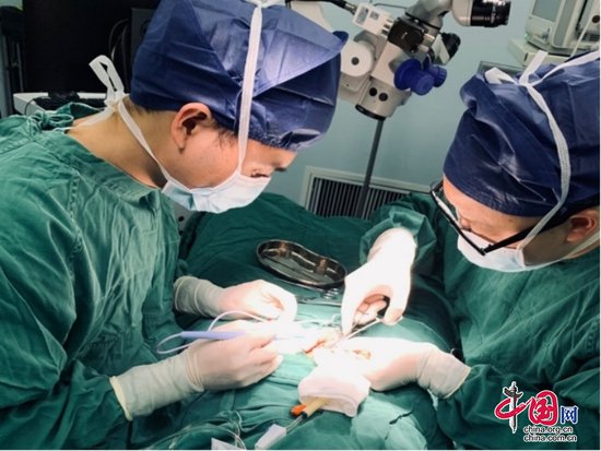 遂宁市中心医院男性生殖领域诊疗技术再创新高