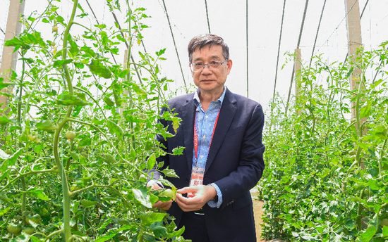 <em>华中农大</em>草莓番茄新品“卖”出5000万元