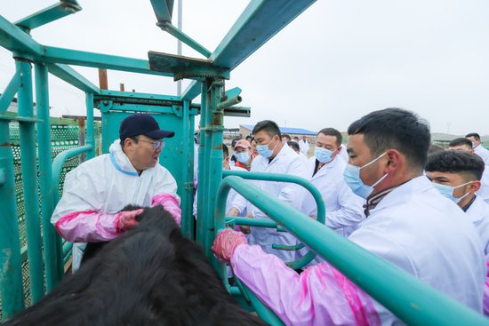 博州举办畜牧业高素质农民暨技能服务型人员培训班