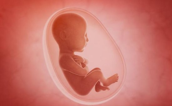 3个原因容易导致“<em>胎停育</em>”，孕妇<em>在怀孕</em>前这样做，胎儿更安全