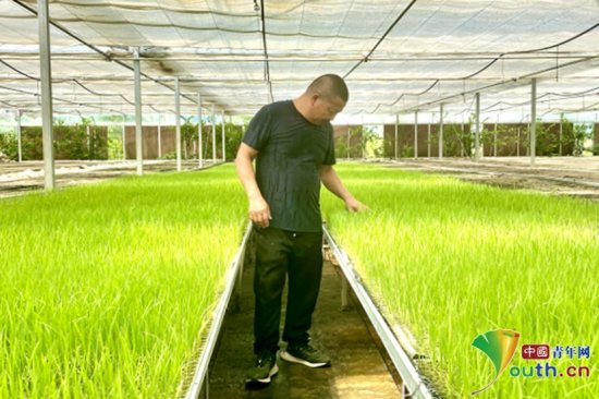 江西瑞金：首座水稻机械化育秧中心建成投产