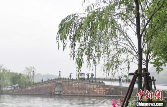<em>杭州市委书记</em>致歉，西湖柳树移栽事件为何牵动人心？