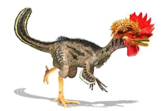 <em>恐龙</em>并<em>没有灭绝</em>，<em>其实</em>鸡就是由<em>恐龙</em>进化来的？真实答案颠覆认知