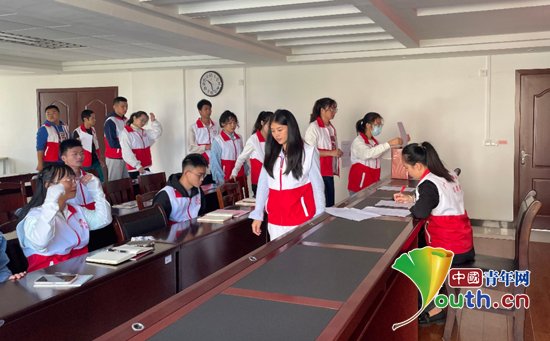 广西蒙山县西部计划志愿者团支部进行换届选举
