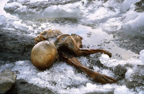 5400年前的<em>奥兹冰人</em>，科学家分析其职业可能是铜匠或牧羊人，死...
