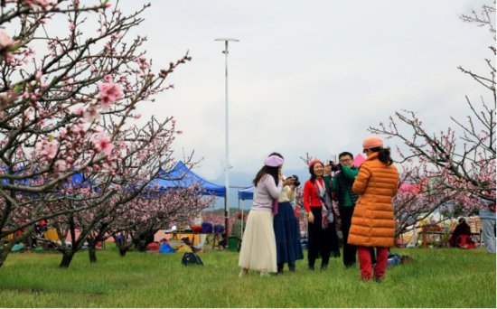 永修第十八届凤凰山桃花节将于3月17日开幕