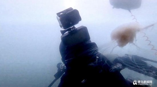 80后小伙成潜水“网红” 他在海底30米当起志愿“环卫工”