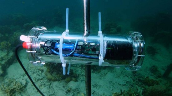 英特尔与合作伙伴<em>使用</em>基于AI的解决方案来监控珊瑚礁的复原力